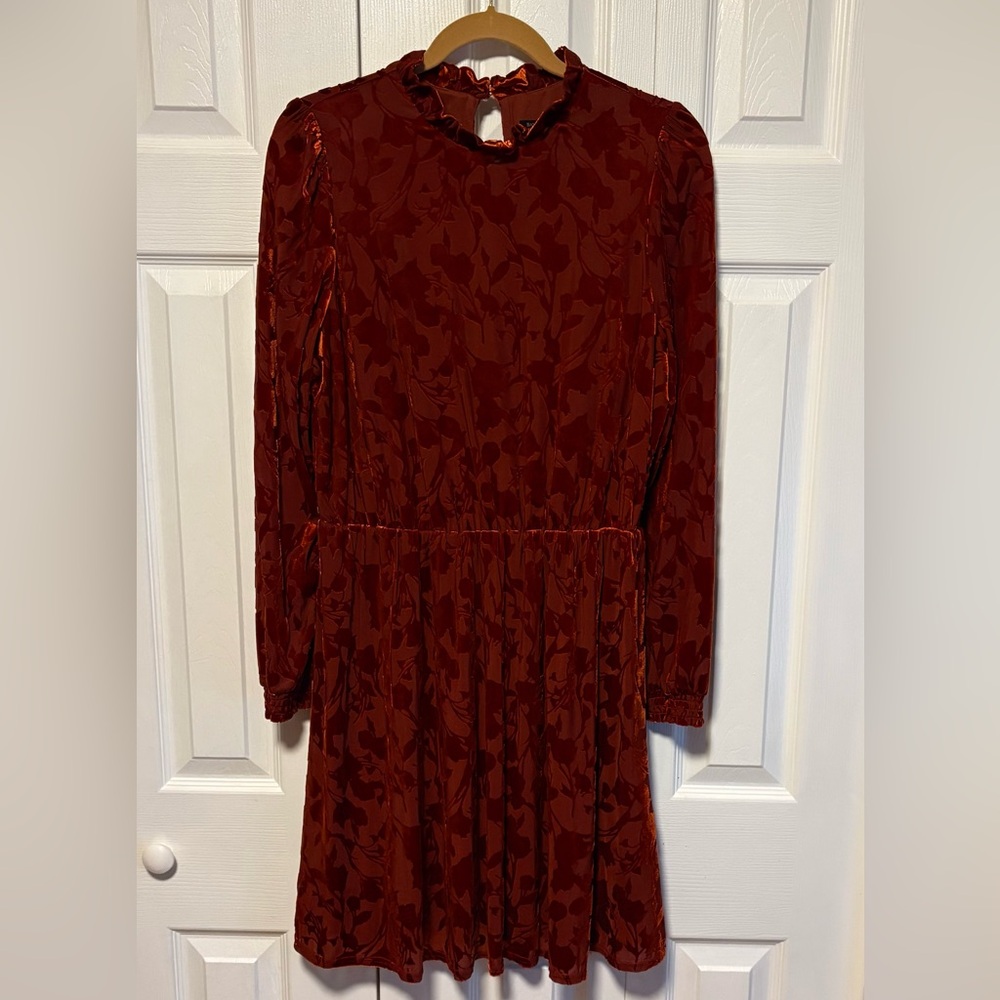 Banana Republic Elegant Burnout Velvet Dress in Dark Burnt Orange